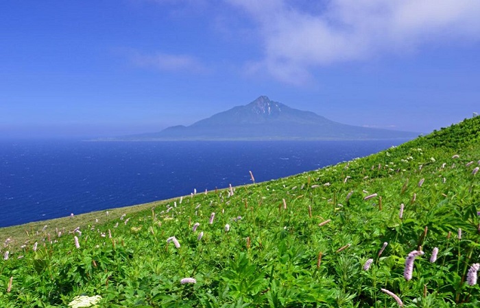 北海道．禮文島+利尻島